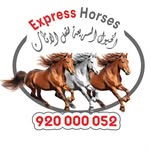 شعار الشركة