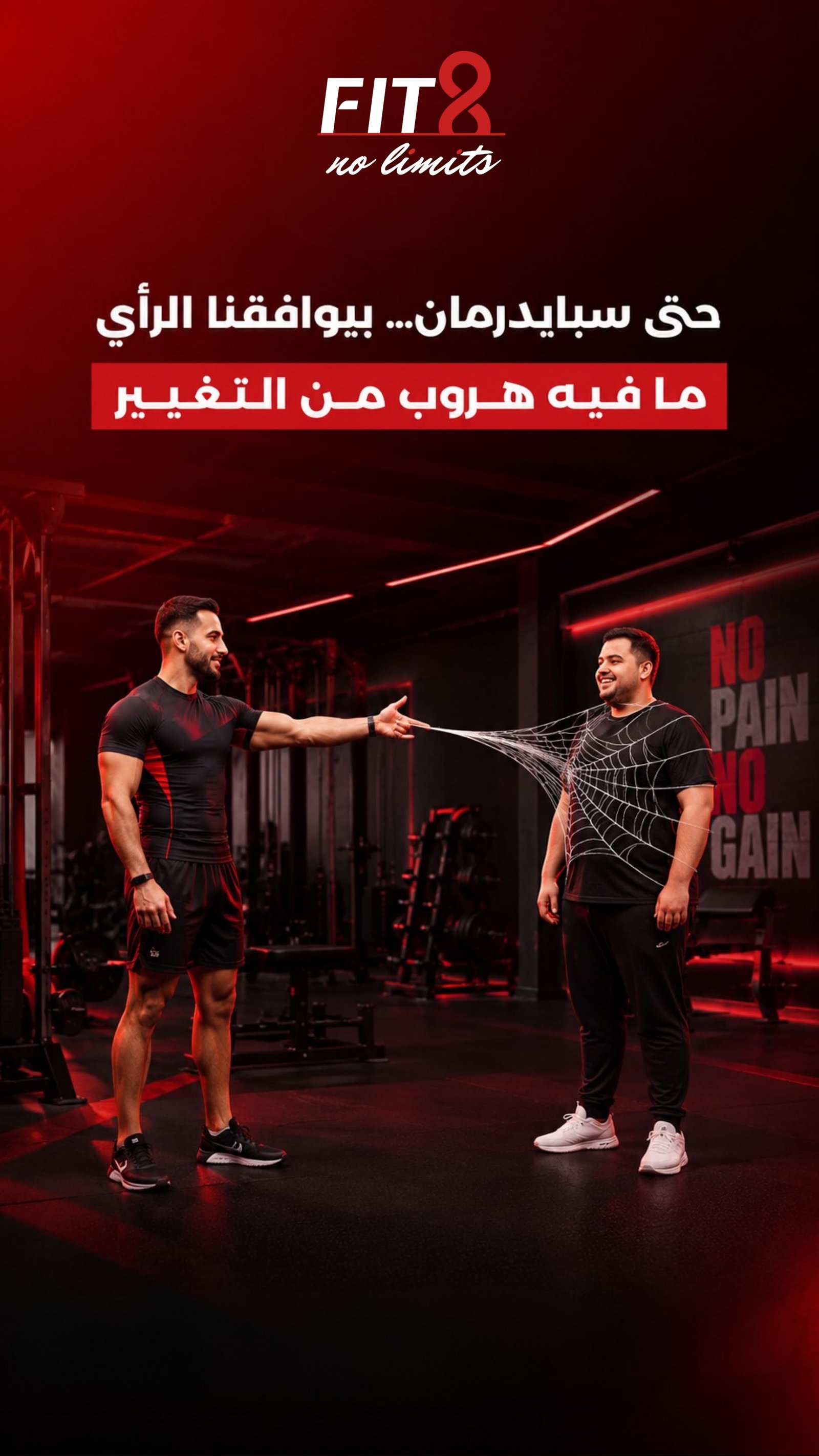 فيت 8